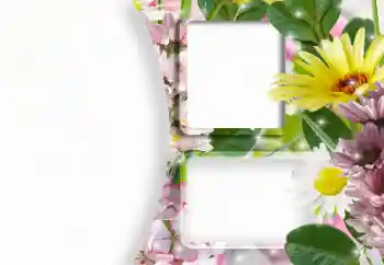Foto effect van de categorie Fotolijsten voor vrouwen № 166607