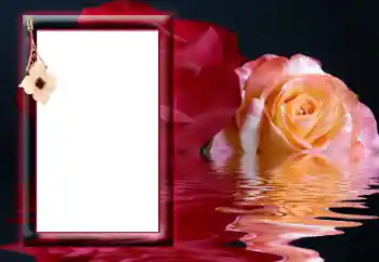 Foto effect van de categorie Fotolijsten voor vrouwen № 166641