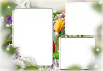 Foto effect van de categorie Fotolijsten voor vrouwen № 169224