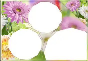 Foto effect van de categorie Fotolijsten voor vrouwen № 170418