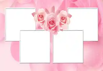 Foto effect van de categorie Fotolijsten voor vrouwen № 170544