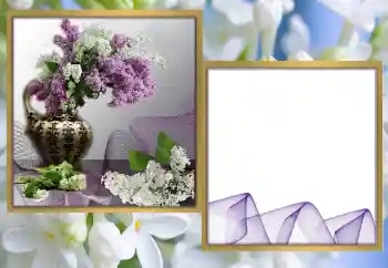 Foto effect van de categorie Fotolijsten voor vrouwen № 170570