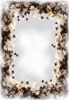 Foto effect van de categorie Fotolijsten voor vrouwen № 172819
