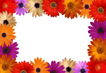 Foto effect van de categorie Fotolijsten voor vrouwen № 172916