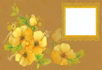 Foto effect van de categorie Fotolijsten voor vrouwen № 172996