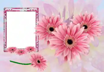 Foto effect van de categorie Fotolijsten voor vrouwen № 173021 Foto effect van de categorie Fotolijsten voor vrouwen № 173021