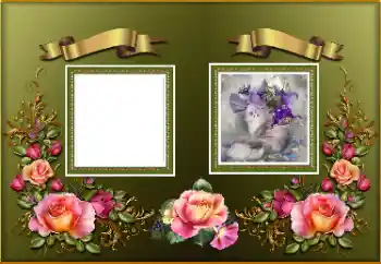 Foto effect van de categorie Fotolijsten voor vrouwen № 174094 Foto effect van de categorie Fotolijsten voor vrouwen № 174094