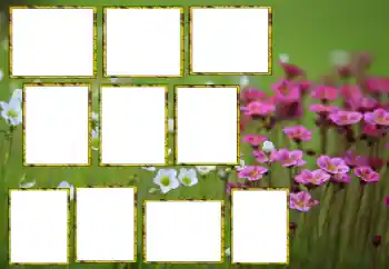 Foto effect van de categorie Fotolijsten voor vrouwen № 174173 Foto effect van de categorie Fotolijsten voor vrouwen № 174173