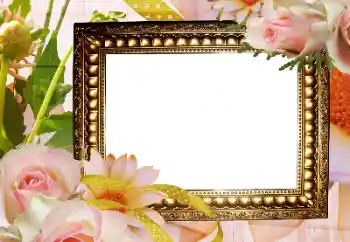 Foto effect van de categorie Fotolijsten voor vrouwen № 175321
