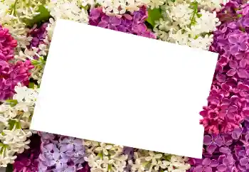 Foto effect van de categorie Fotolijsten voor vrouwen № 175408 Foto effect van de categorie Fotolijsten voor vrouwen № 175408