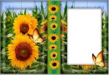 Foto effect van de categorie Fotolijsten voor vrouwen № 175542 Foto effect van de categorie Fotolijsten voor vrouwen № 175542