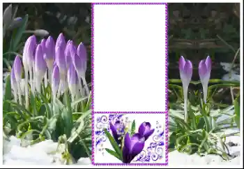 Foto effect van de categorie Fotolijsten voor vrouwen № 179360 Foto effect van de categorie Fotolijsten voor vrouwen № 179360