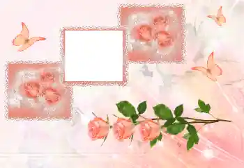 Foto effect van de categorie Fotolijsten voor vrouwen № 180707 Foto effect van de categorie Fotolijsten voor vrouwen № 180707