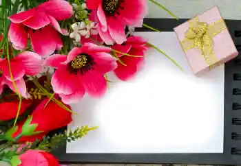 Foto effect van de categorie Fotolijsten voor vrouwen № 180815 Foto effect van de categorie Fotolijsten voor vrouwen № 180815