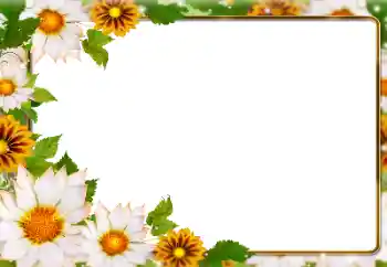 Foto effect van de categorie Fotolijsten voor vrouwen № 180831 Foto effect van de categorie Fotolijsten voor vrouwen № 180831