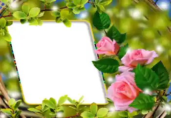 Foto effect van de categorie Fotolijsten voor vrouwen № 180860 Foto effect van de categorie Fotolijsten voor vrouwen № 180860