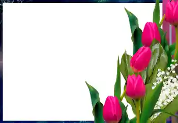 Foto effect van de categorie Fotolijsten voor vrouwen № 182017 Foto effect van de categorie Fotolijsten voor vrouwen № 182017