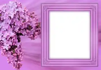 Foto effect van de categorie Fotolijsten voor vrouwen № 183304