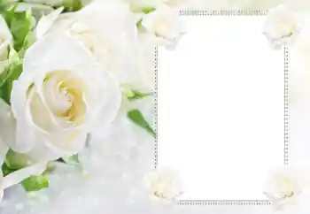 Foto effect van de categorie Fotolijsten voor vrouwen № 183434 Foto effect van de categorie Fotolijsten voor vrouwen № 183434