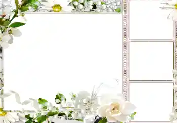 Foto effect van de categorie Fotolijsten voor vrouwen № 184586
