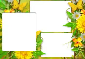 Foto effect van de categorie Fotolijsten voor vrouwen № 184587