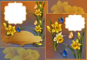 Foto effect van de categorie Fotolijsten voor vrouwen № 185839