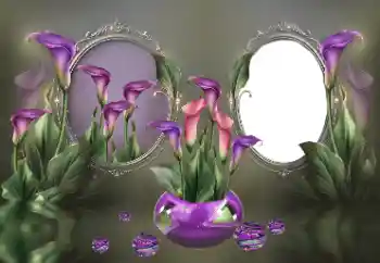 Foto effect van de categorie Fotolijsten voor vrouwen № 185840