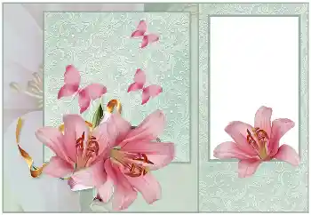 Foto effect van de categorie Fotolijsten voor vrouwen № 185848