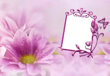 Foto effect van de categorie Fotolijsten voor vrouwen № 191747 Foto effect van de categorie Fotolijsten voor vrouwen № 191747