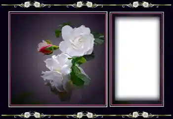 Foto effect van de categorie Fotolijsten voor vrouwen № 194163 Foto effect van de categorie Fotolijsten voor vrouwen № 194163