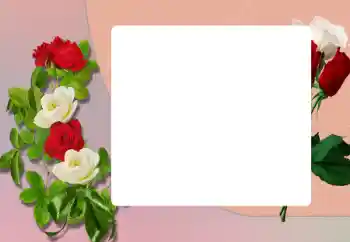 Foto effect van de categorie Fotolijsten voor vrouwen № 198906