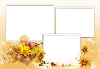 Foto effect van de categorie Fotolijsten voor vrouwen № 198975 Foto effect van de categorie Fotolijsten voor vrouwen № 198975