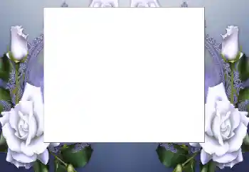 Foto effect van de categorie Fotolijsten voor vrouwen № 199032