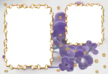 Foto effect van de categorie Fotolijsten voor vrouwen № 203262 Foto effect van de categorie Fotolijsten voor vrouwen № 203262