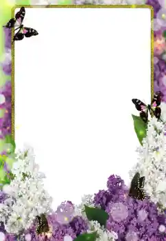 Foto effect van de categorie Fotolijsten voor vrouwen № 203271