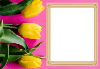 Foto effect van de categorie Fotolijsten voor vrouwen № 206177 Foto effect van de categorie Fotolijsten voor vrouwen № 206177