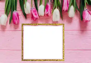Foto effect van de categorie Fotolijsten voor vrouwen № 206181 Foto effect van de categorie Fotolijsten voor vrouwen № 206181