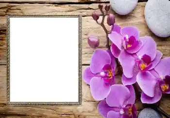 Foto effect van de categorie Fotolijsten voor vrouwen № 206185
