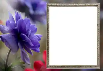 Foto effect van de categorie Fotolijsten voor vrouwen № 206189