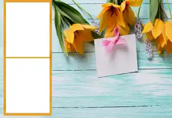 Foto effect van de categorie Fotolijsten voor vrouwen № 206196