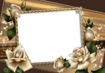 Foto effect van de categorie Fotolijsten voor vrouwen № 2168