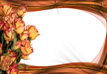 Foto effect van de categorie Fotolijsten voor vrouwen № 2170