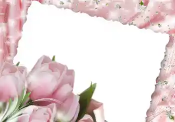 Foto effect van de categorie Fotolijsten voor vrouwen № 2171