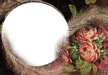 Foto effect van de categorie Fotolijsten voor vrouwen № 22185