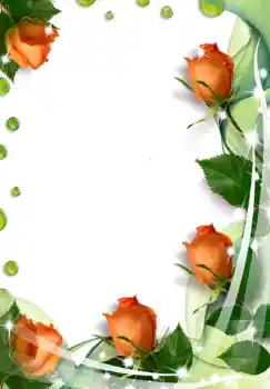 Foto effect van de categorie Fotolijsten voor vrouwen № 238