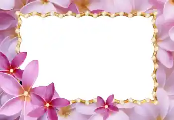 Foto effect van de categorie Fotolijsten voor vrouwen № 24214