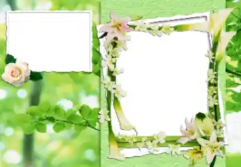 Foto effect van de categorie Fotolijsten voor vrouwen № 24444
