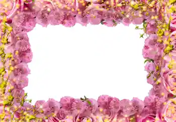 Foto effect van de categorie Fotolijsten voor vrouwen № 244