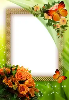 Foto effect van de categorie Fotolijsten voor vrouwen № 35071