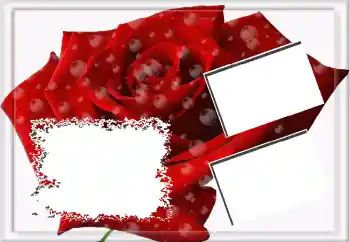 Foto effect van de categorie Fotolijsten voor vrouwen № 3592